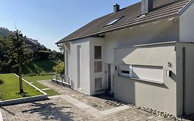 Ferienhaus Sonnenhaus Villa Bodman-Ludwigshafen Exterior photo