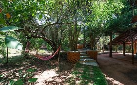 The Thick Forest Sigiriya Exterior photo
