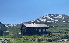 Bjorgo Gard - Stegastein Lägenhet Aurland Exterior photo