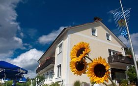 Landgasthof Am Sonnenhang Hotell Vohenstrauss Exterior photo