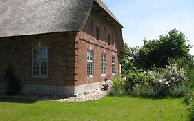 Apartments Golden Tueffel Hohwacht Exterior photo