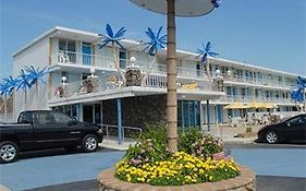 Blue Palms Resort Wildwood Exterior photo