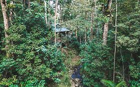 Narrows Escape Rainforest Retreat Villa Montville Exterior photo