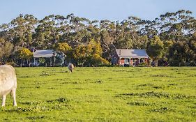 Freshwater Creek Cottages&Farm Stay Torquay Exterior photo