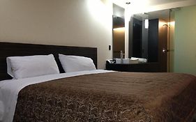 Hotel Amazonas Mexico City Room photo