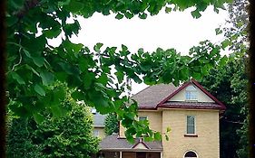 Tranquil Days Guest House ---- Arbour Garden Stratford Exterior photo