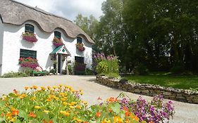 Lissyclearig Thatched Cottage Kenmare Exterior photo