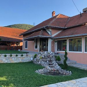 Apartmani Djokic Sa Bazenom Soko Banja Exterior photo