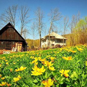 Agropensiunea Tarina Lägenhet Rosia Montana Exterior photo