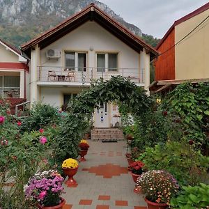 Pension Eden Hotell Băile Herculane Exterior photo