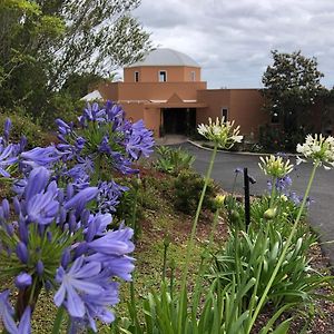 Casa Vista Hotell Bangalow Exterior photo