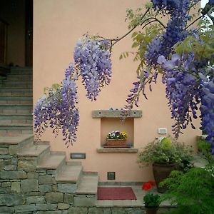 Il Glicine Bed and Breakfast San Dorligo della Valle Exterior photo