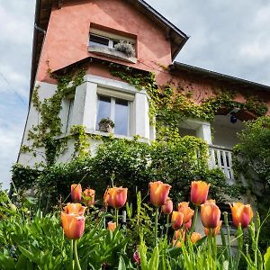 L'Abri Du Viaduc Bed and Breakfast Saint-Satur Exterior photo