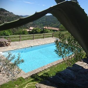 Le Mercou En Cevennes Bed and Breakfast Saint-Martin-de-Boubaux Exterior photo