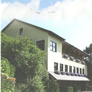 Landgasthaus Zum Erlengrund Hotell Emskirchen Exterior photo