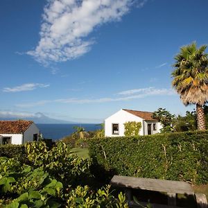 Jardim Do Triangulo - Alojamento Local Bed and Breakfast Manadas Exterior photo