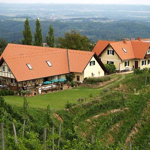 Weingut Albert, Familie Cramer Bed and Breakfast Kitzeck im Sausal Exterior photo