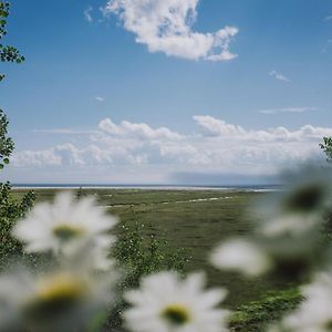 Gite La Maree Bed and Breakfast Portneuf Sur Mer Exterior photo