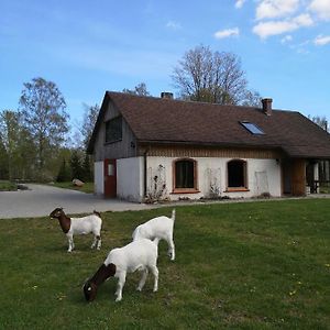 Atputas Vieta Raudini Hotell Kaltene Exterior photo