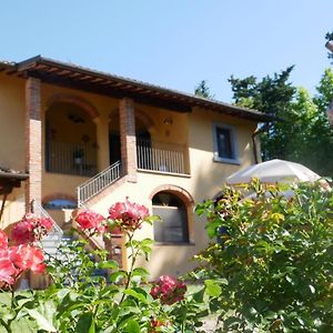 Il Gelso Villa Montopoli in Val dʼArno Exterior photo
