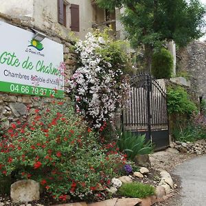 Chambres D'Hotes Prieure D'Orniols Goudargues Exterior photo