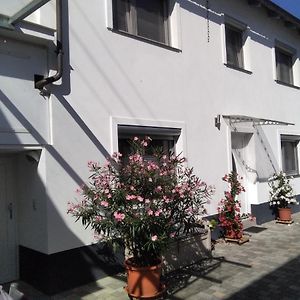 Ferienhaus Fam. Bisgen Lägenhet Niederkirchen bei Deidesheim Exterior photo