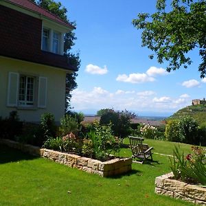 Villa Burgblick - luxury BnB Staufen im Breisgau Exterior photo