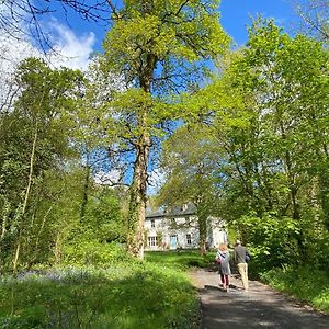 Blackhill Woods Pensionat Abbeyleix Exterior photo