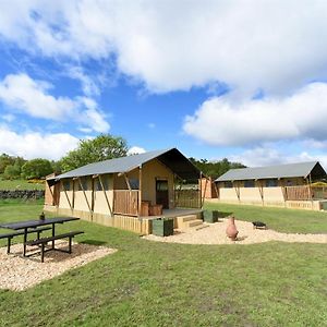 Carr's Hill Luxury Safari Tents Villa Denny Room photo