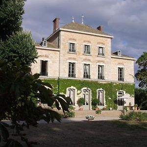 Chateau Des Charmes Bed and Breakfast Guereins Exterior photo