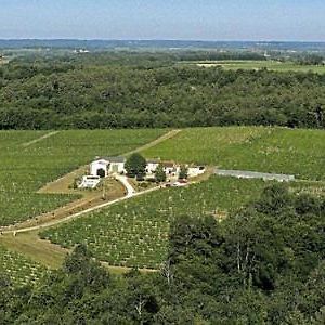 Domaine De Grand Homme Hotell Blasimon Exterior photo