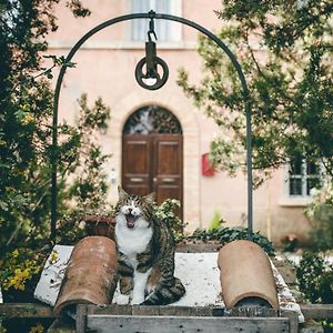 B&B Ca' Paiardo SantʼAngelo in Vado Exterior photo