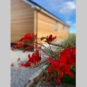 The Gallafield, Self Catering Bungalow , Stornoway Villa Stornoway  Exterior photo