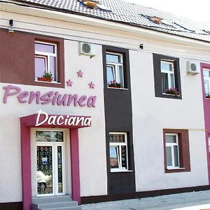 Pension Daciana Hotell Bacău Exterior photo