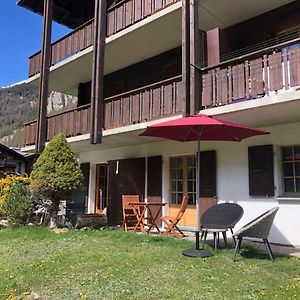 Le Cerf, Magnifique Studio Avec Jardin-Terrasse Et Garage Lägenhet Evolène Exterior photo