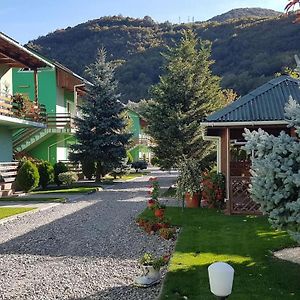 Pension Charisma Hotell Băile Herculane Exterior photo