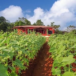 Aarya Farm Bed and Breakfast Bhom Exterior photo