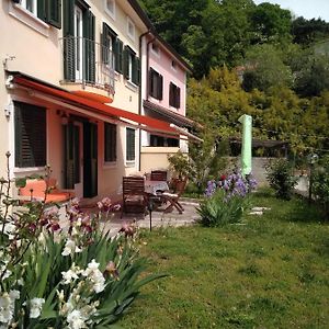 Alle Rose Barcolane Bed and Breakfast Trieste Exterior photo