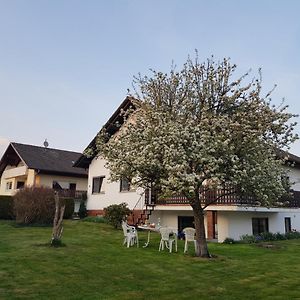 Ferienwohnung-Wald Wald  Exterior photo