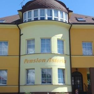 Pension Astoria Hotell Klášterec nad Ohří Exterior photo