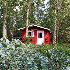 Bakkakot 3 Cozy Cabin In The Woods Lägenhet Akureyri Exterior photo
