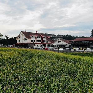 Penzion Hoffer Hotell Nitra Exterior photo