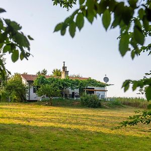 Villa Mira Zagreb Kraljevec Kupinecki Exterior photo