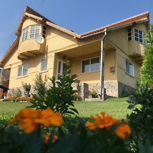 Casa Asined Lägenhet Întorsura Buzăului Exterior photo