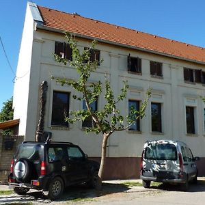 Vadaszkuert Vendegfogado Bed and Breakfast Alsonyek Exterior photo