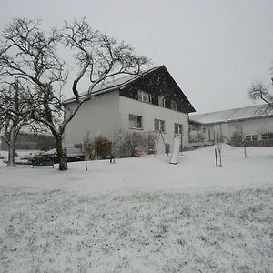 Mirscheiderhof Lägenhet Weidenbach  Exterior photo