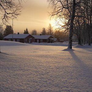 Lapland Stuga&Tours Cottage E Rentjarn Exterior photo