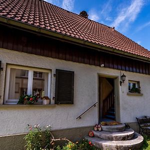 Gartenferienhaus "Annaluise" Villa Schönau im Schwarzwald Exterior photo