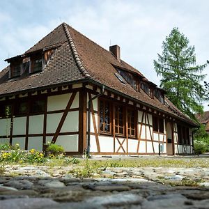 Schloss Hohenfels/ Gaestehaus Morgenrot Hotell Hohenfels  Exterior photo