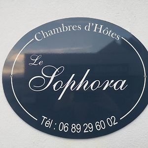 Le Sophora Hotell Guînes Exterior photo